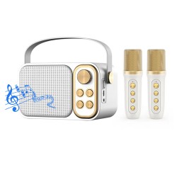 Портативная караоке-система INSPIRE YS-105 white